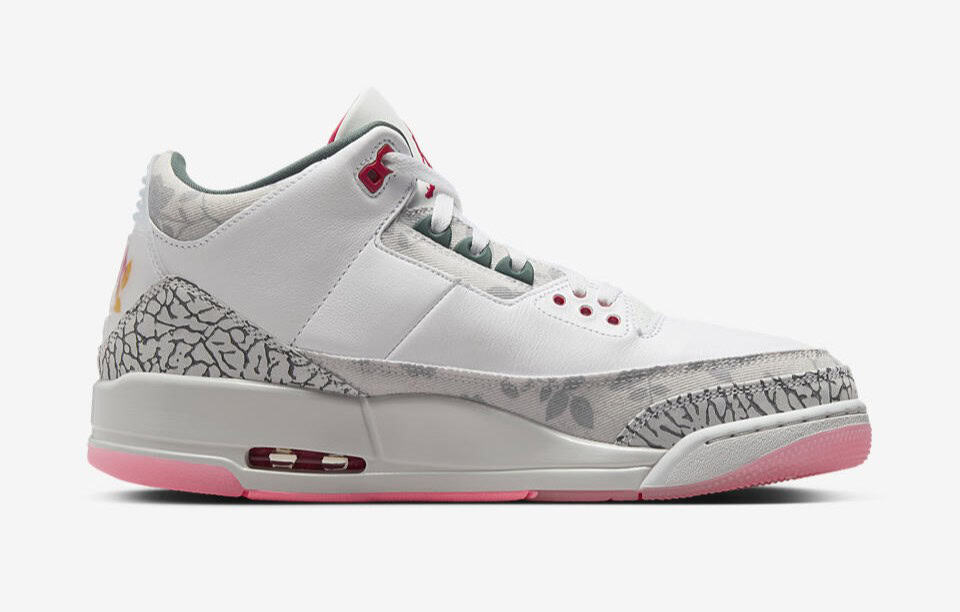 The Air Jordan 3 "Wings" 