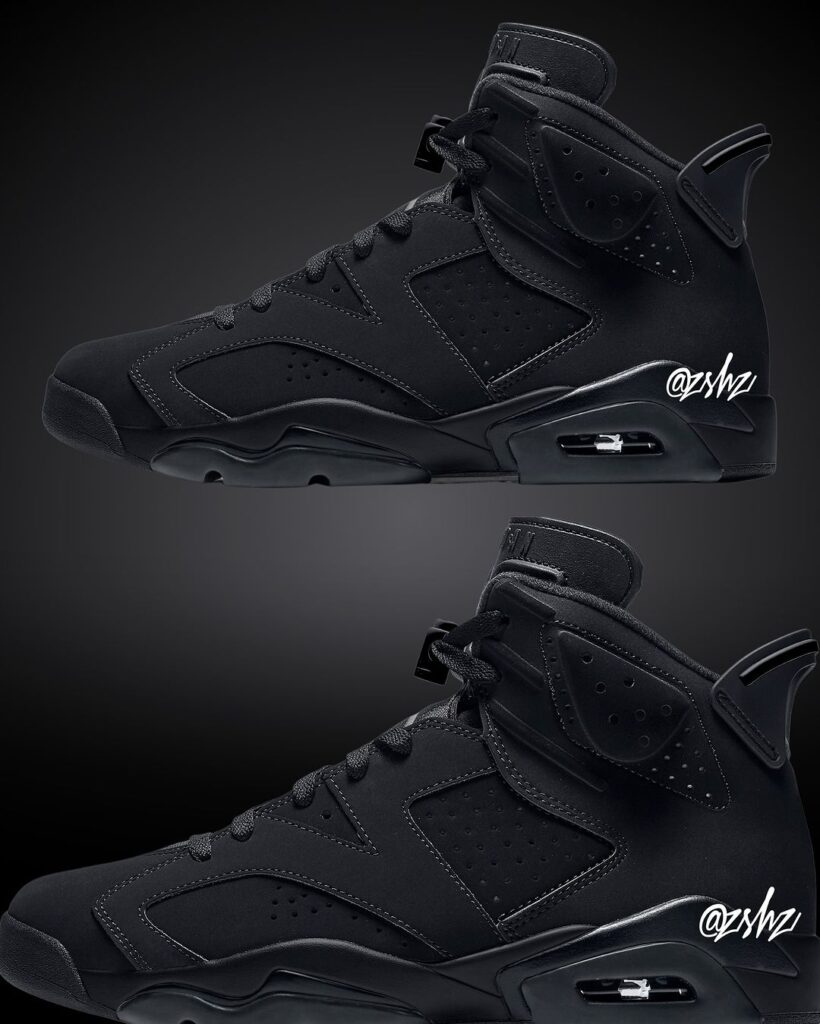 Air Jordan 6 "Black Cat" 
