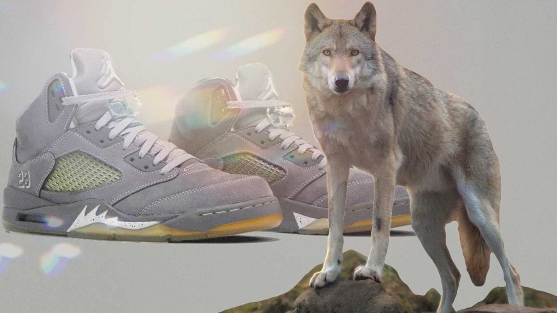 Air Jordan 5 "Wolf Grey"