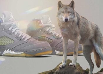 Air Jordan 5 "Wolf Grey"