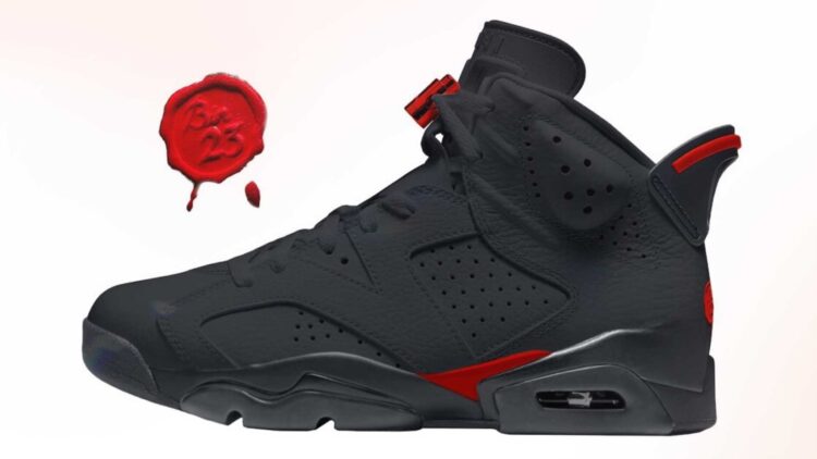 Air Jordan 6 "Bin 23"