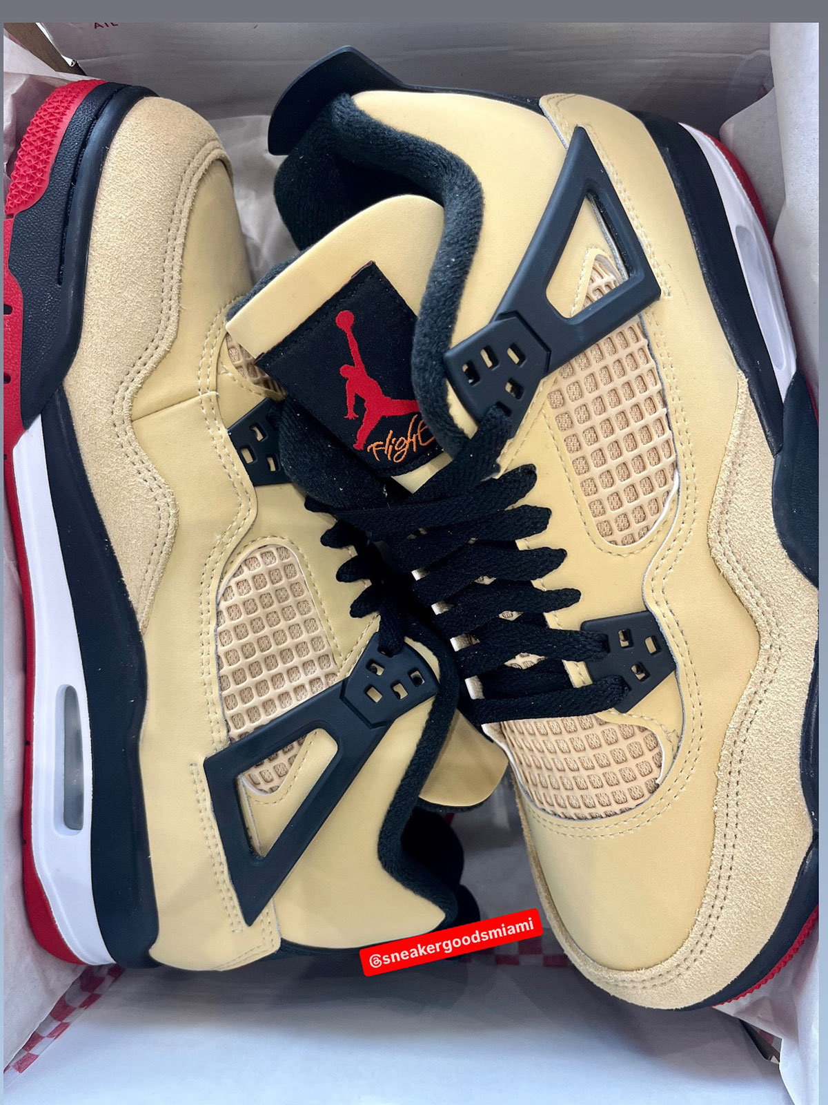 Jordan 4 Pizza
