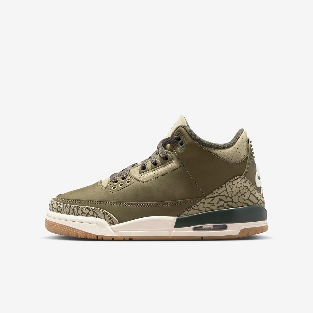Air Jordan 3 "Family Affair"