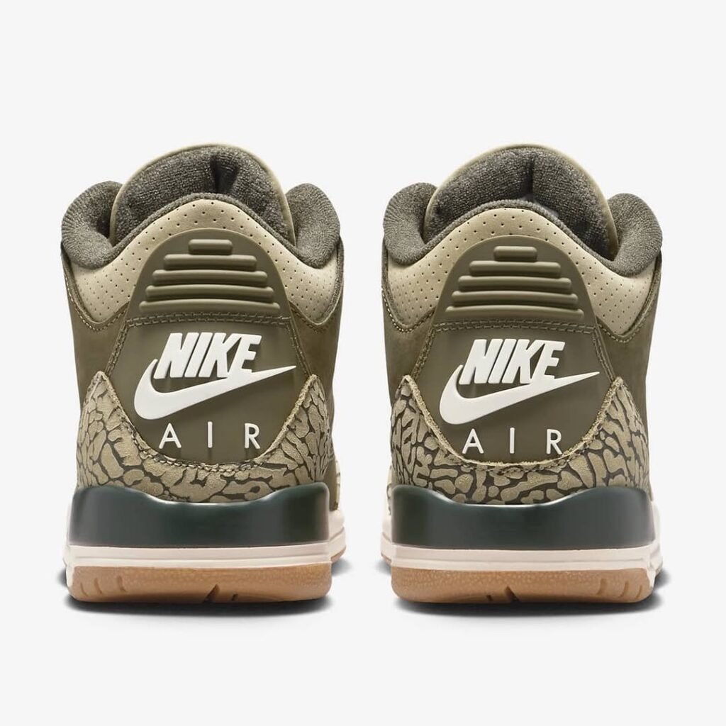 Air Jordan 3 "Family Affair"