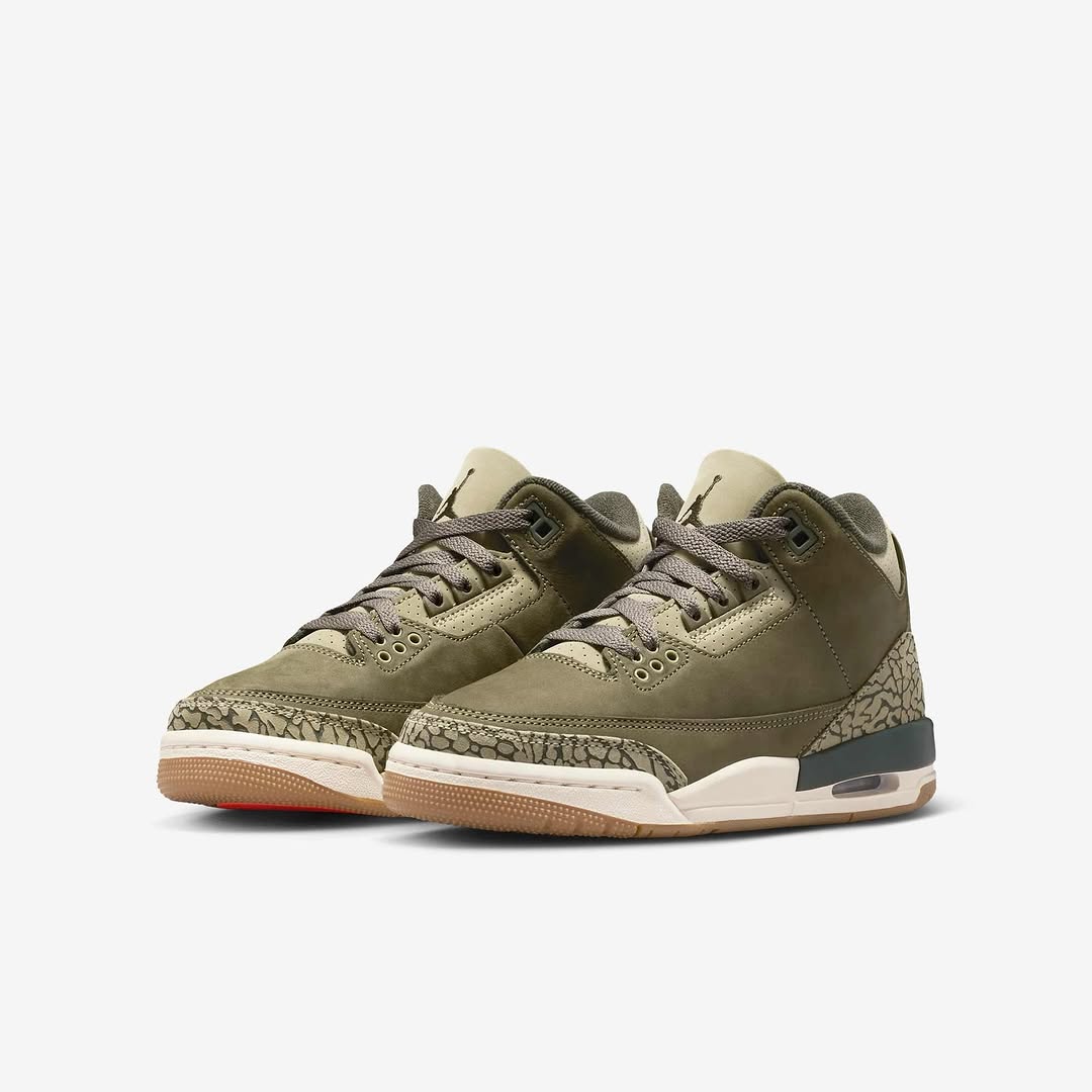 Air Jordan 3 "Family Affair"