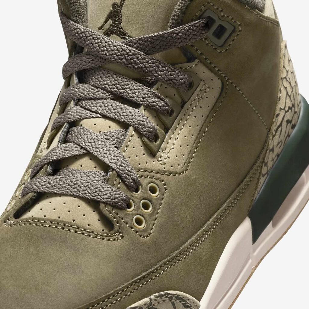 Air Jordan 3 "Family Affair"