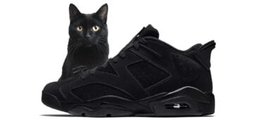 Air Jordan 6 Low "Blackout"