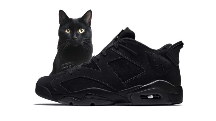 Air Jordan 6 Low "Blackout"