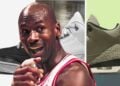 Air Jordan 3 Sneakers Releasing in 2025