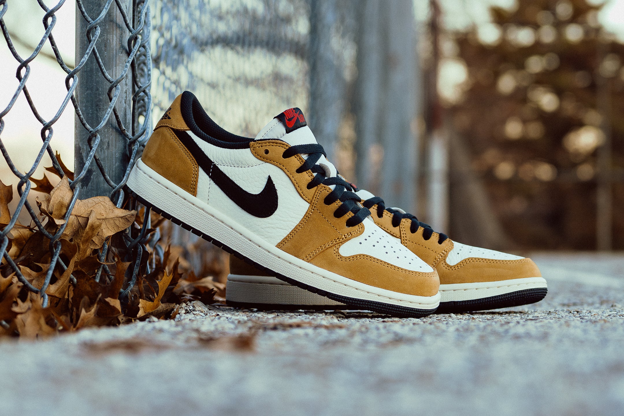Air Jordan 1 Low "Rookie of the Year"