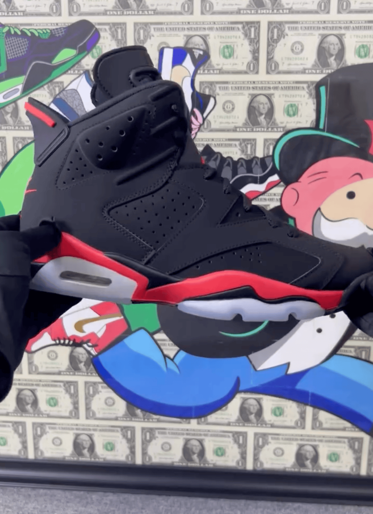 Air Jordan 6 reverse infrared