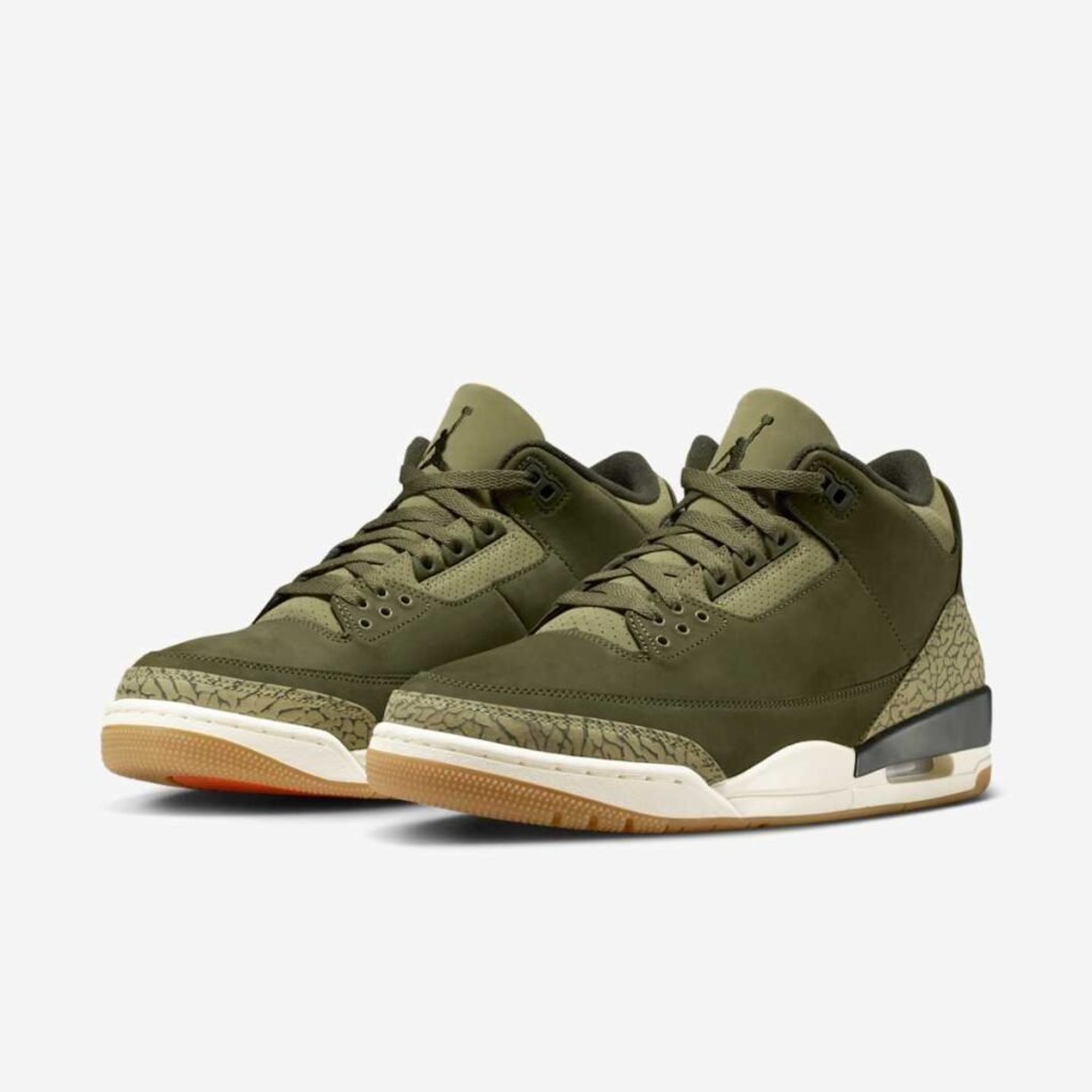 Air Jordan 3 "Family Affair"