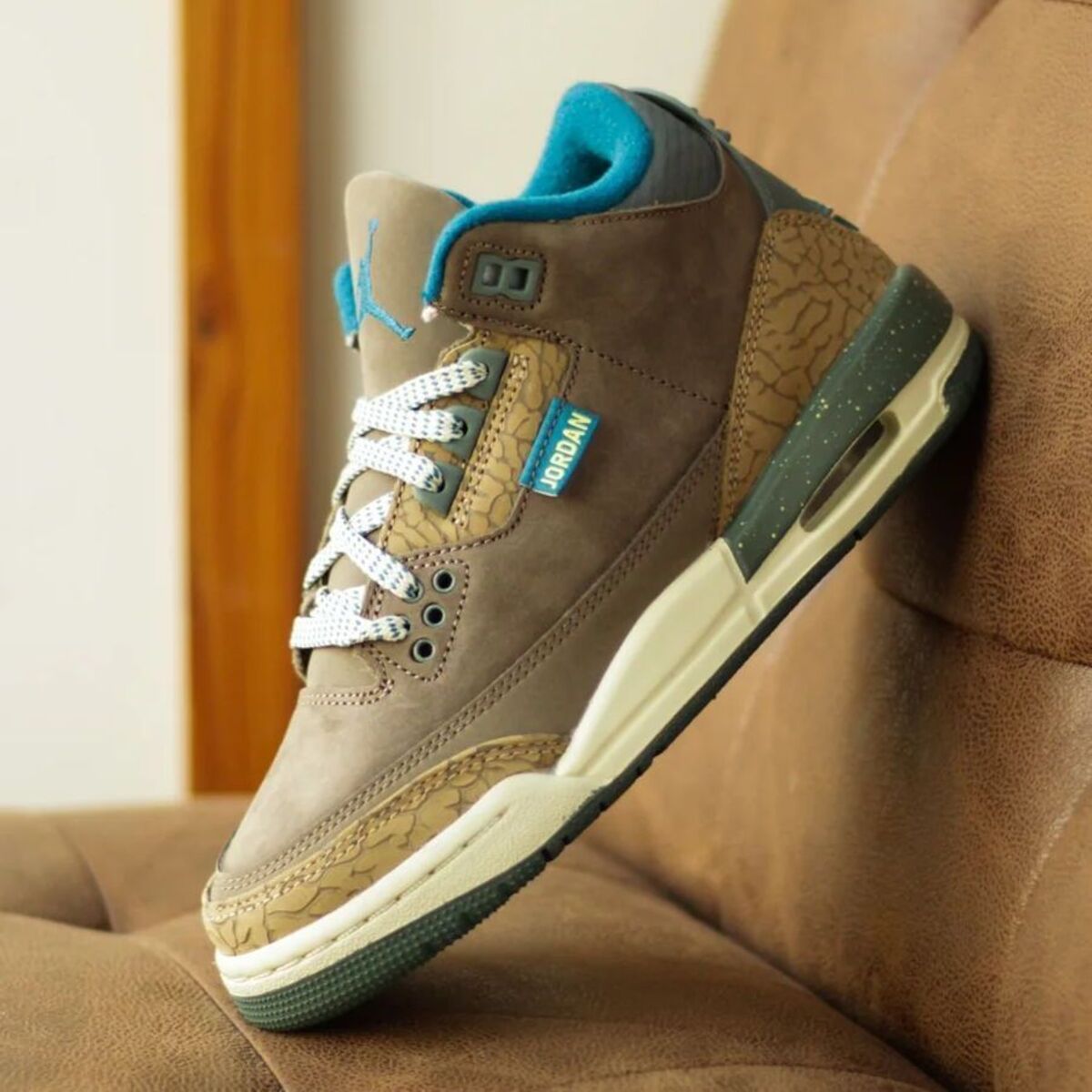 Air Jordan 3 GS "We Out Side"